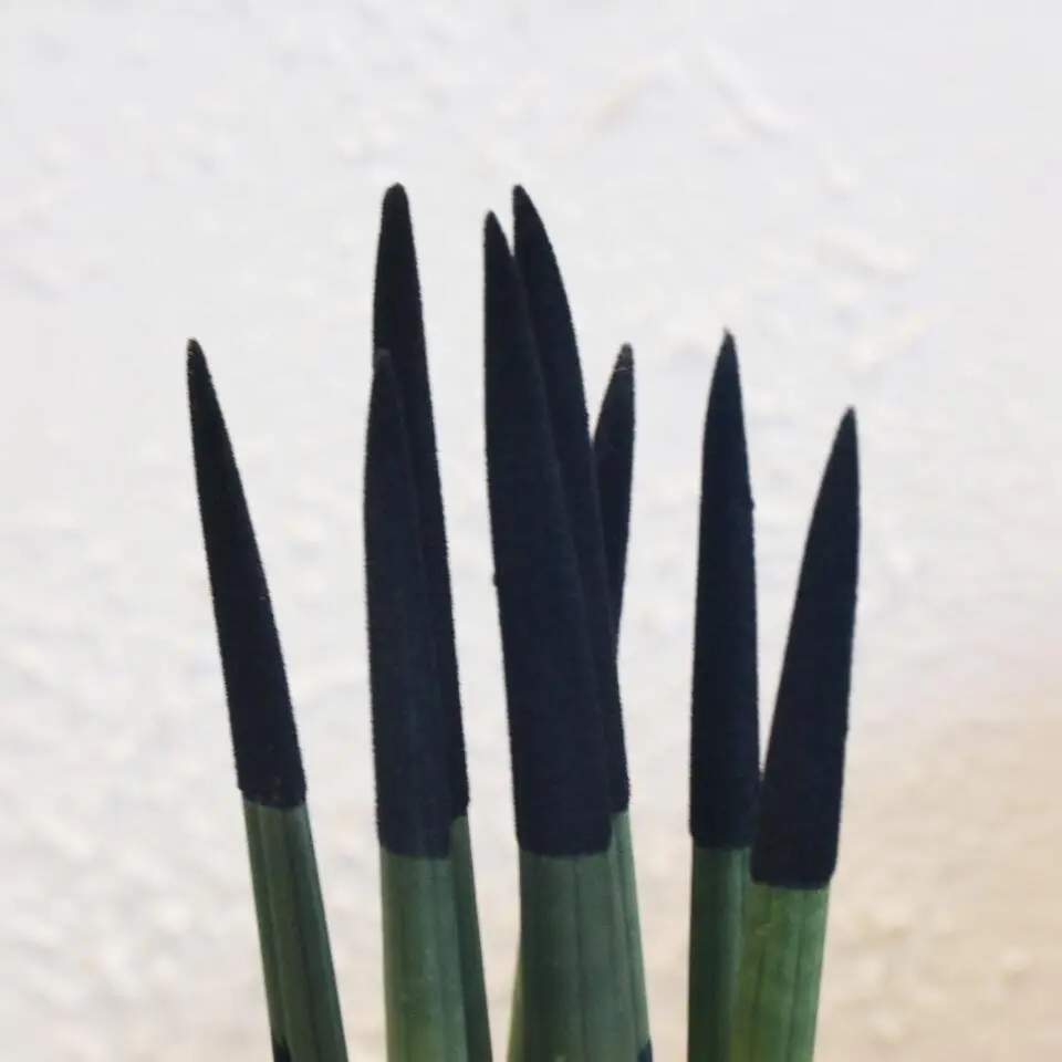 Afrikaanse Speerplant - Sansevieria cylindrica - Hoogte 20-40cm - Pot 9cm