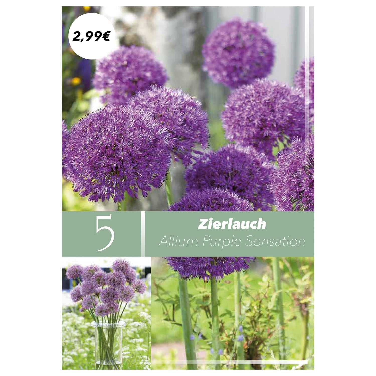 Blumenzwiebeln Frühlingsboten Herbst 9fach