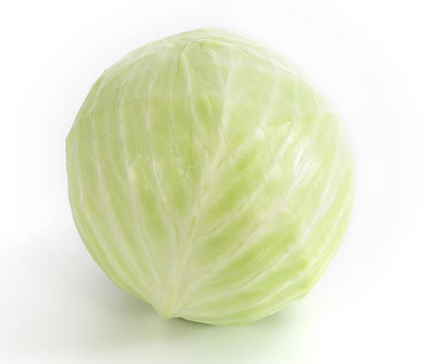Weißkohl, 6er Schale