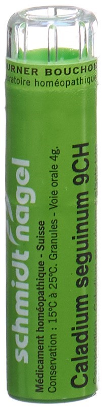 SCHMIDT-NAGEL Caladium seguinum Gran 9 CH 4 g