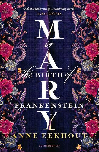Mary: or, the Birth of Frankenstein (Hardback)