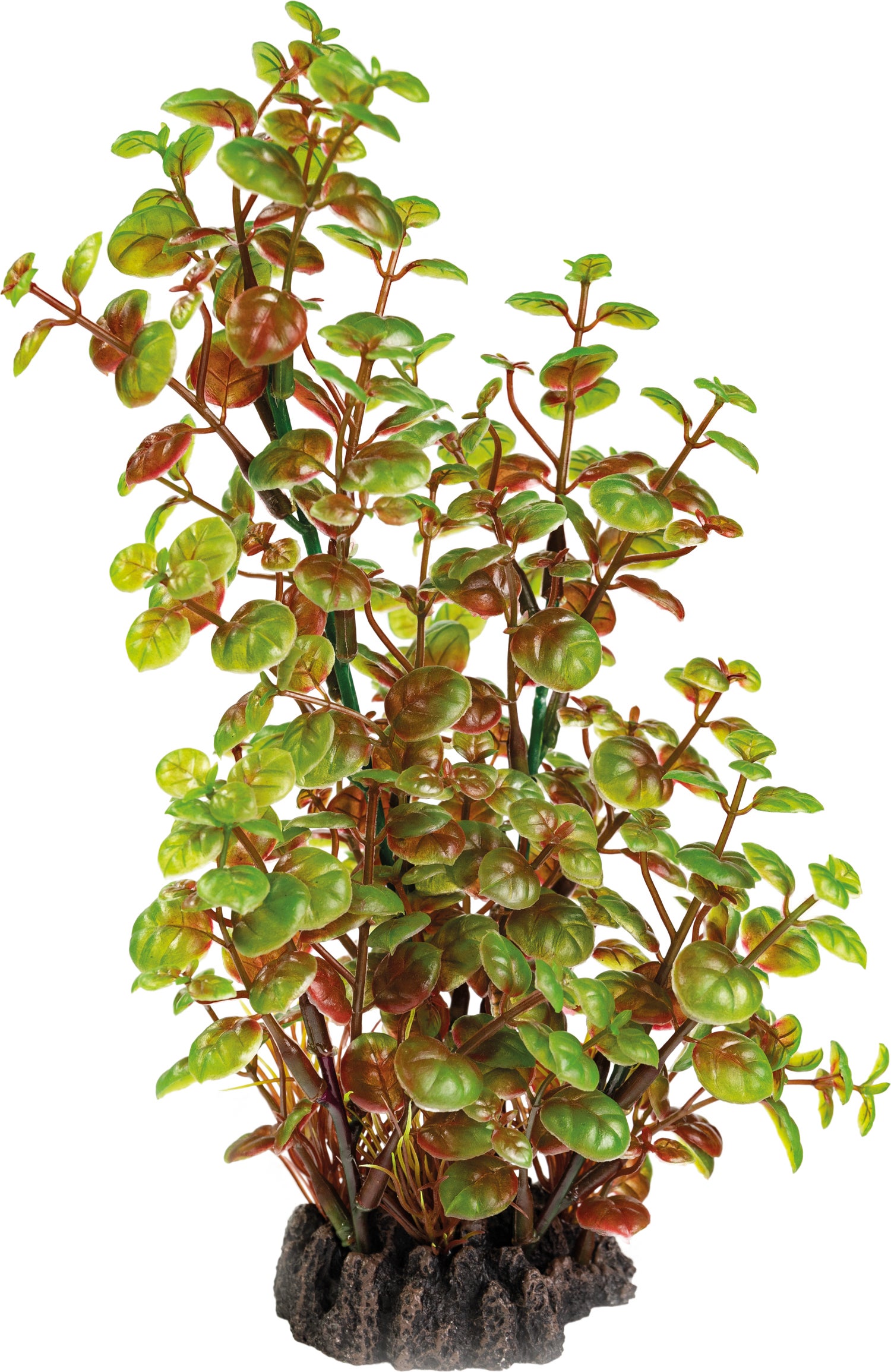SuperFish aquarium decoratie kunstplant Rotala groen / rood6 x 10 x 25 cm