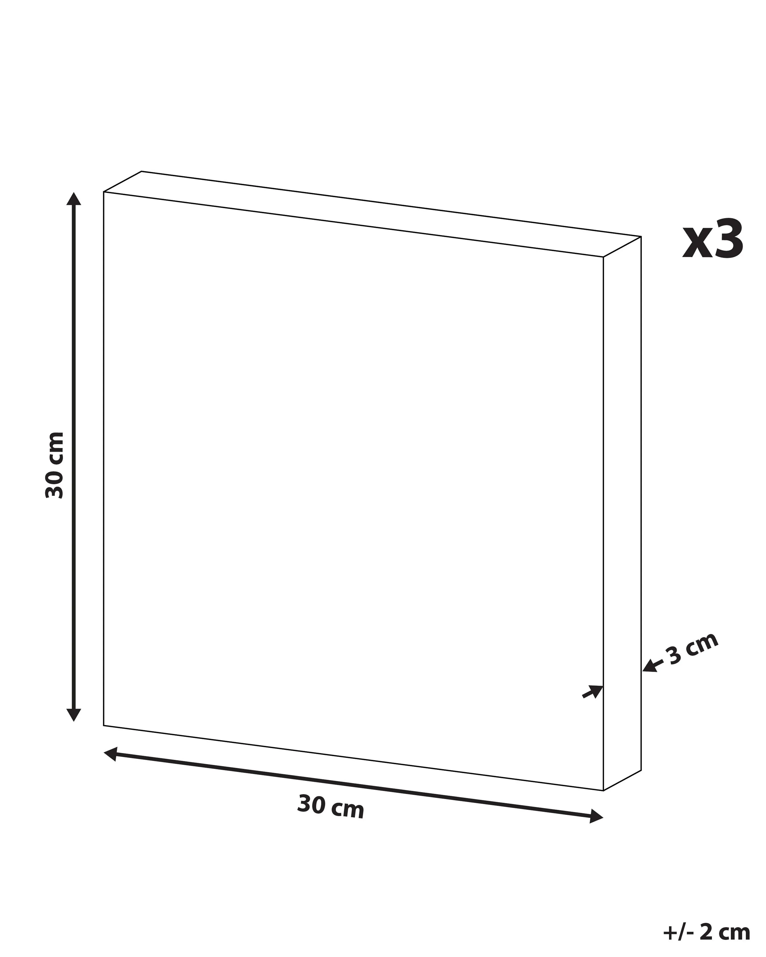 Set van 3 canvassen APESIKA Natuurlijk motief 30 x 30 cm Goud