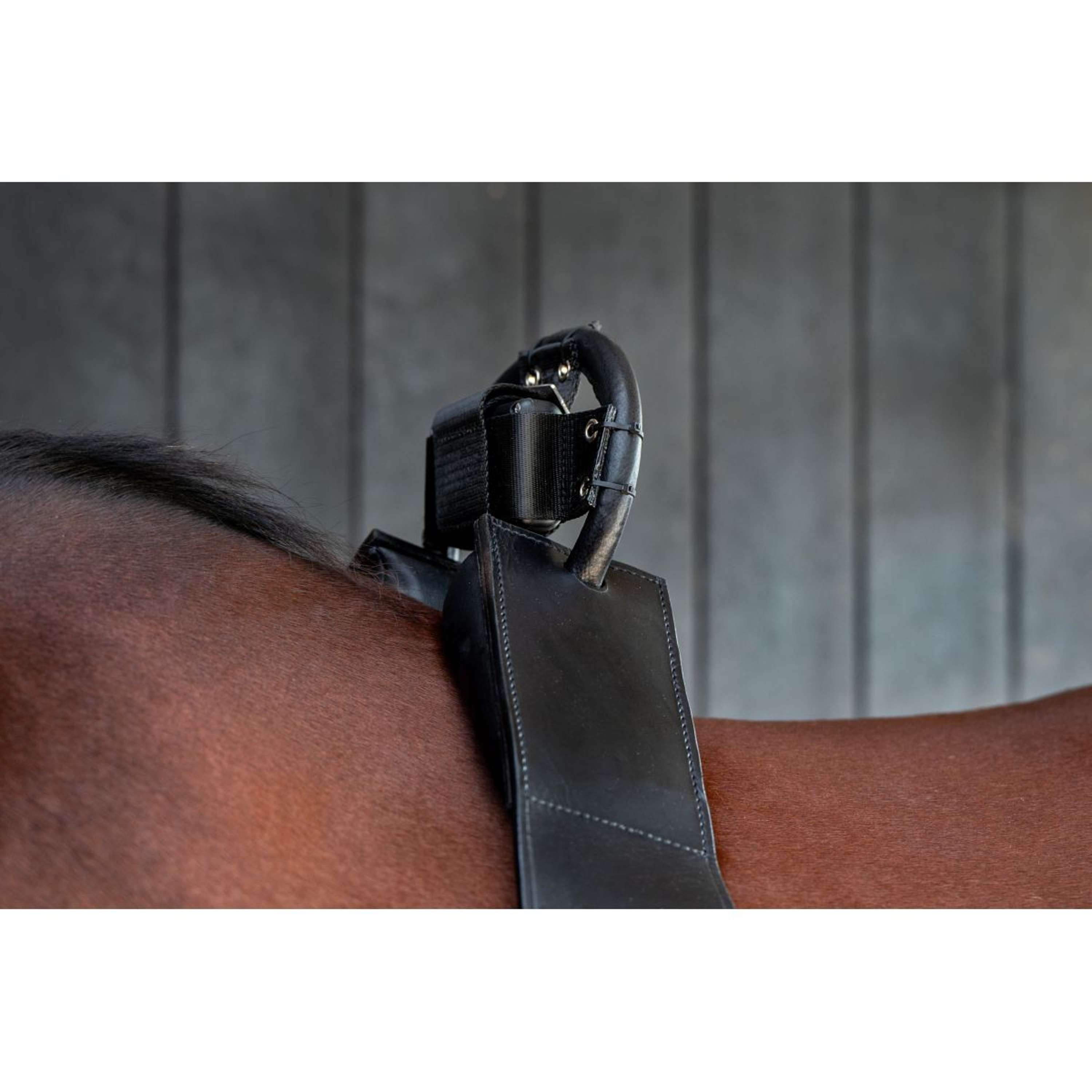 Birth Alarm Classic Compleet incl. Anti-Rolsingel