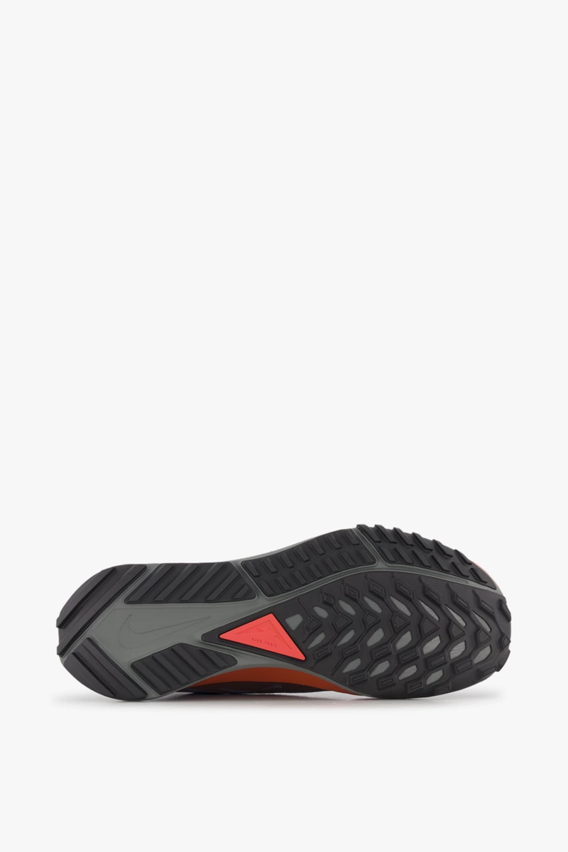 Nike Pegasus Trail 4 Gore-Tex® Herren Trailrunningschuh