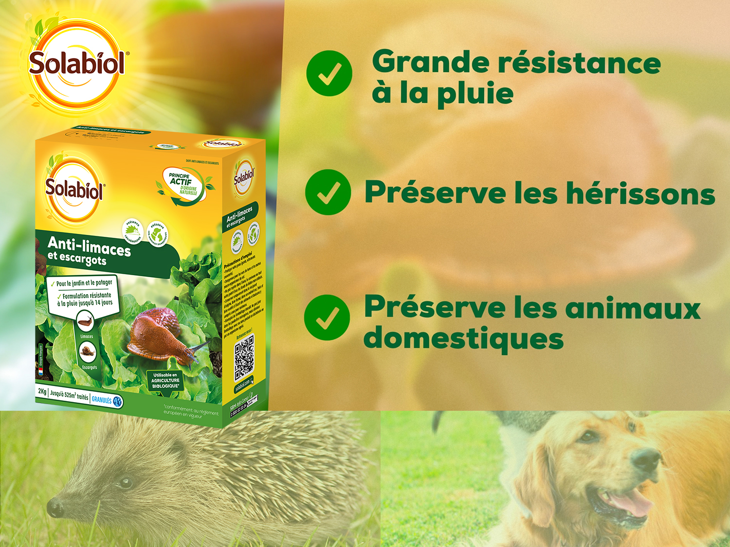 Anti-limace & escargot |2 kg| granulés | résiste à la pluie | protecti