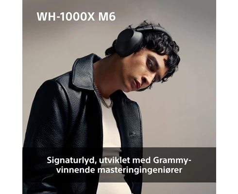 Sony WH-1000XM6 - Silver