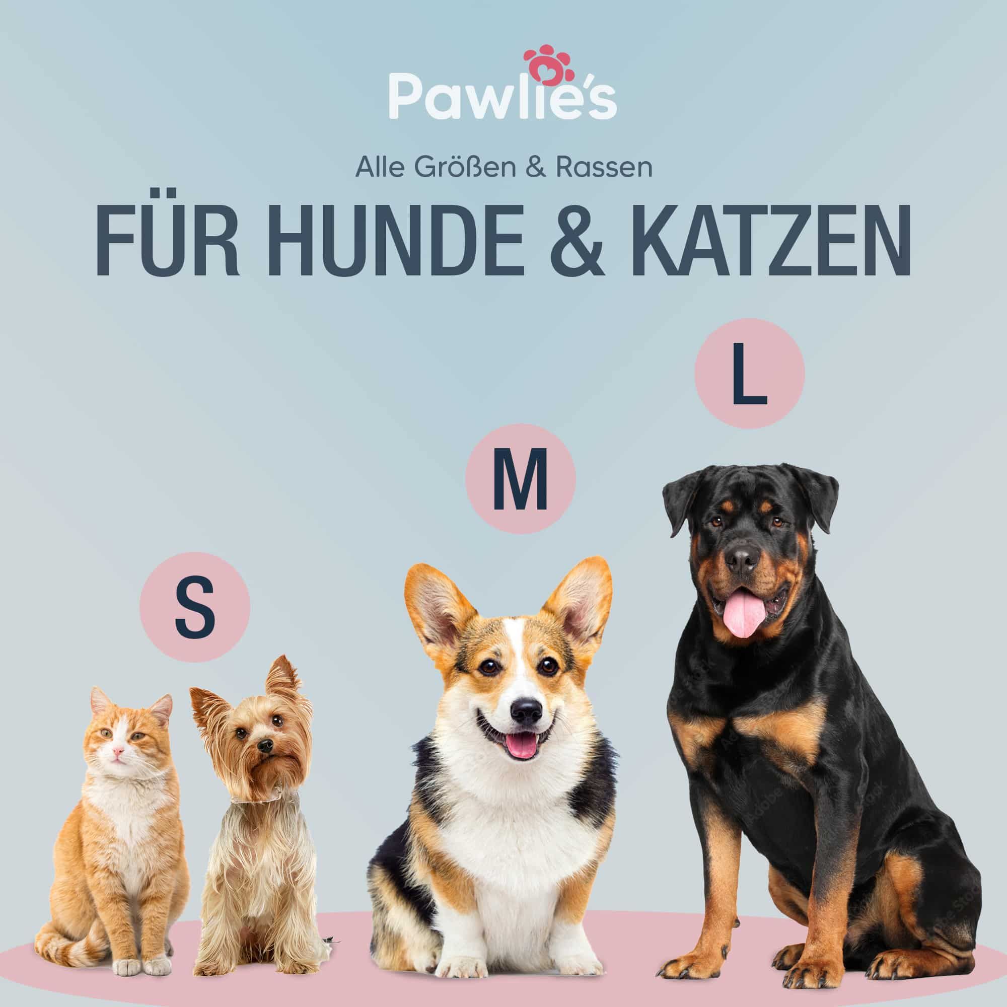Pawlie's Zahnpflege-Set für Hunde & Katzen