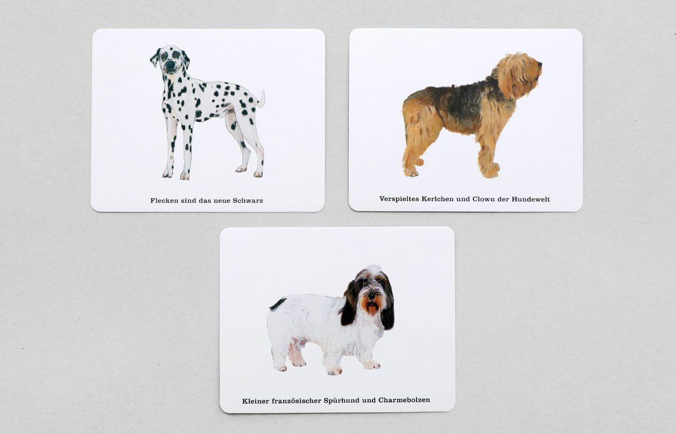 Wer kennt alle Hunde?