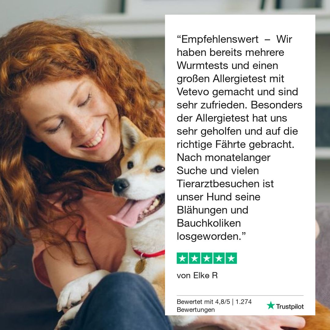 Allergietest Pro Katze