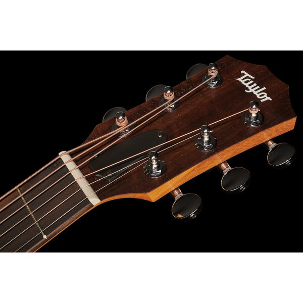 Taylor GS Mini-e Special Ed Dragon