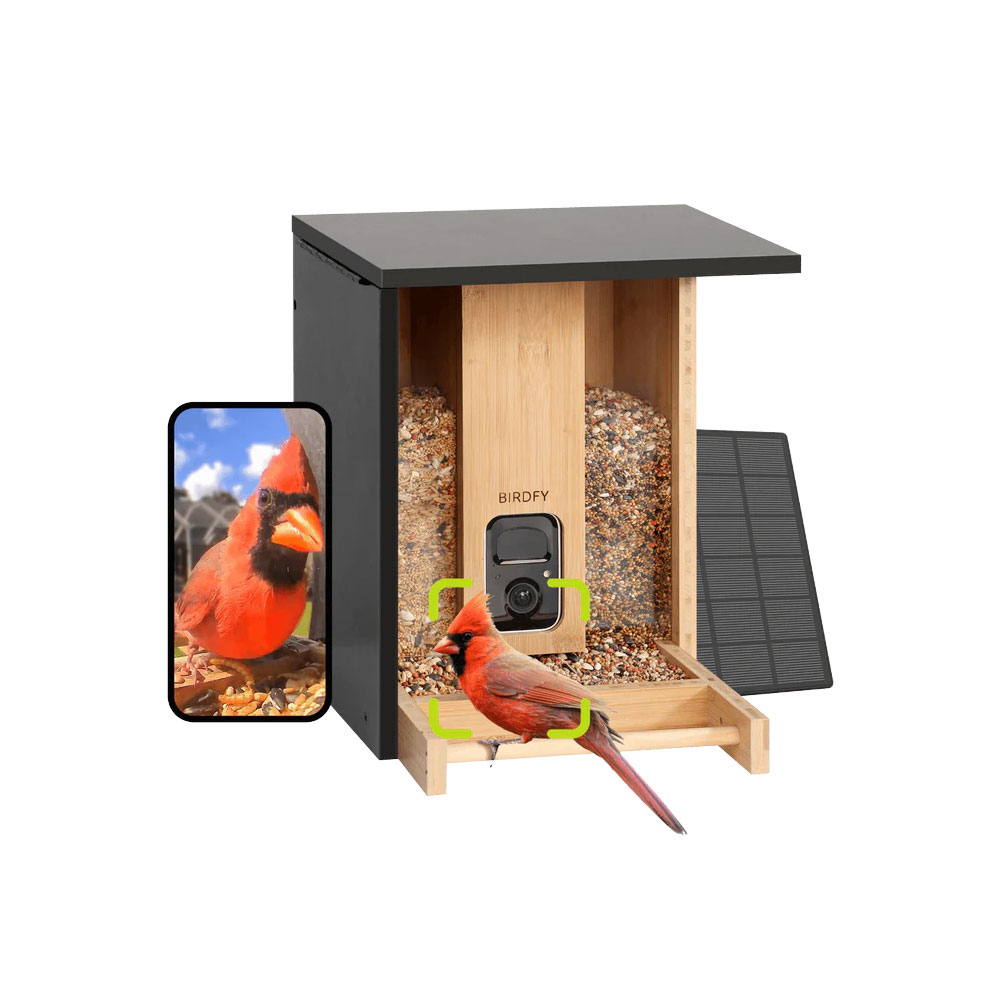 Birdfy Bambus Solar Vogel Haus Vogelfutterspender Smarte Outdoor Wildvogel Futterstation mit Full HD Kamera IP65 (EPPAMBNI8402110)