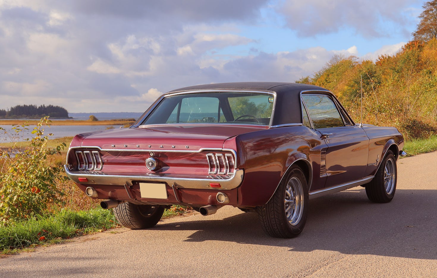 Ford Mustang fahren Wees