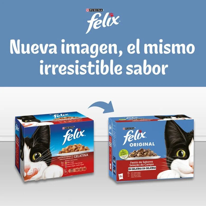 Sachês de gelatina de peixe Felix Selection para gatos - Pacote múltiplo