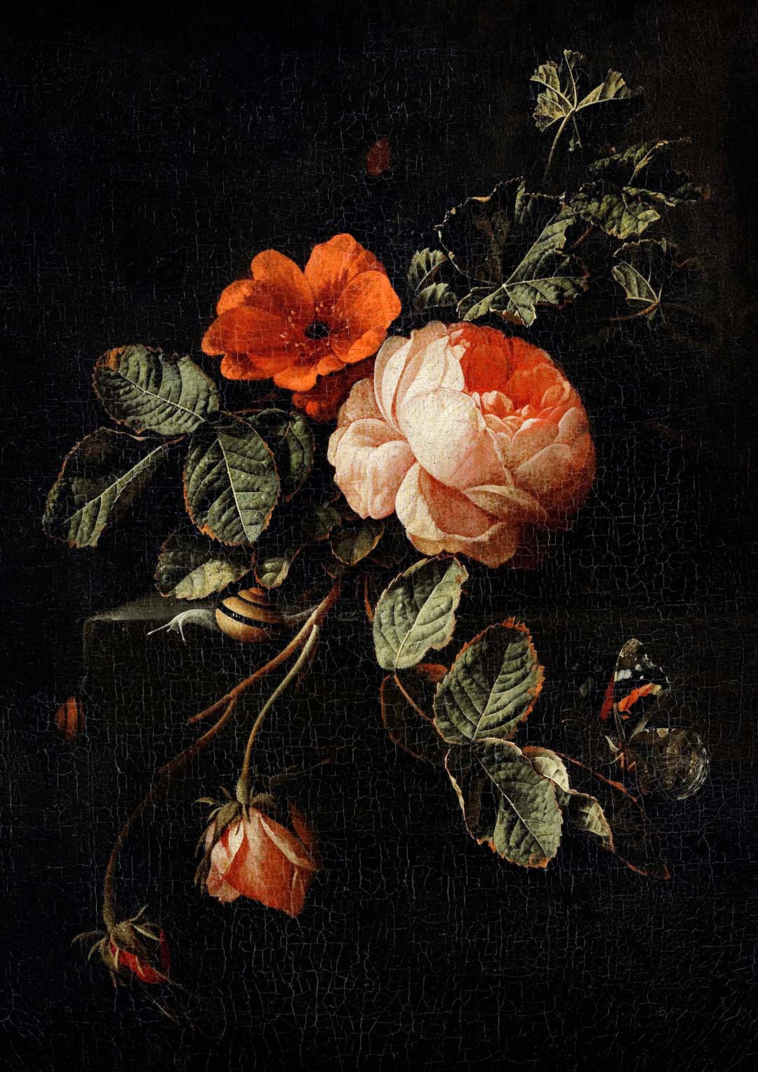 Rosen von van den Broeck