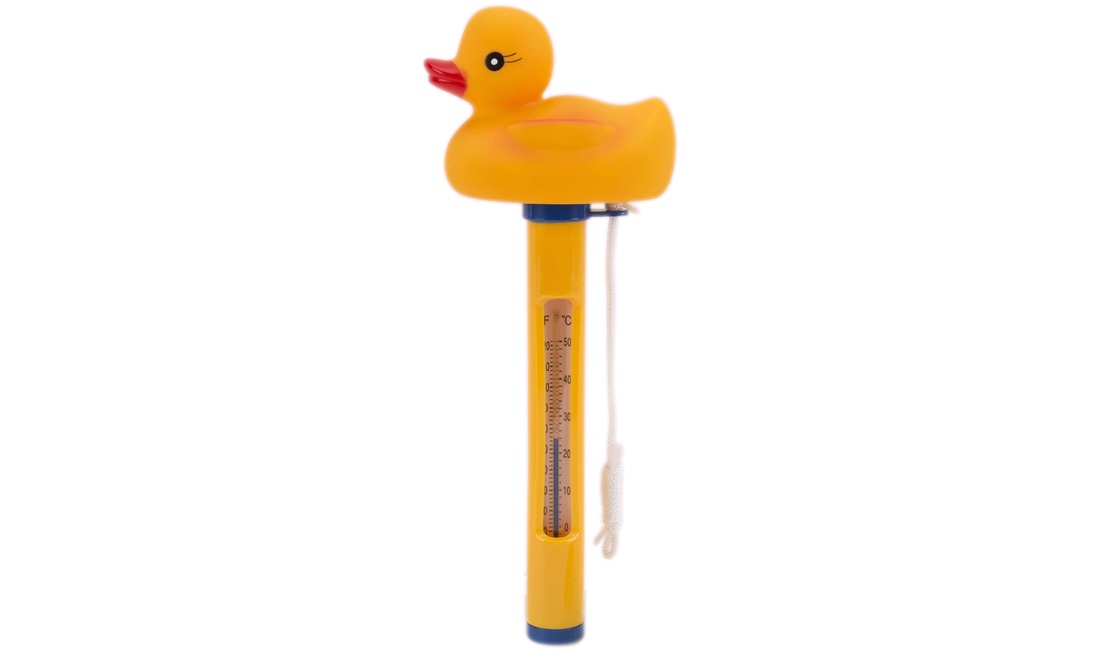 Pool Termometer And