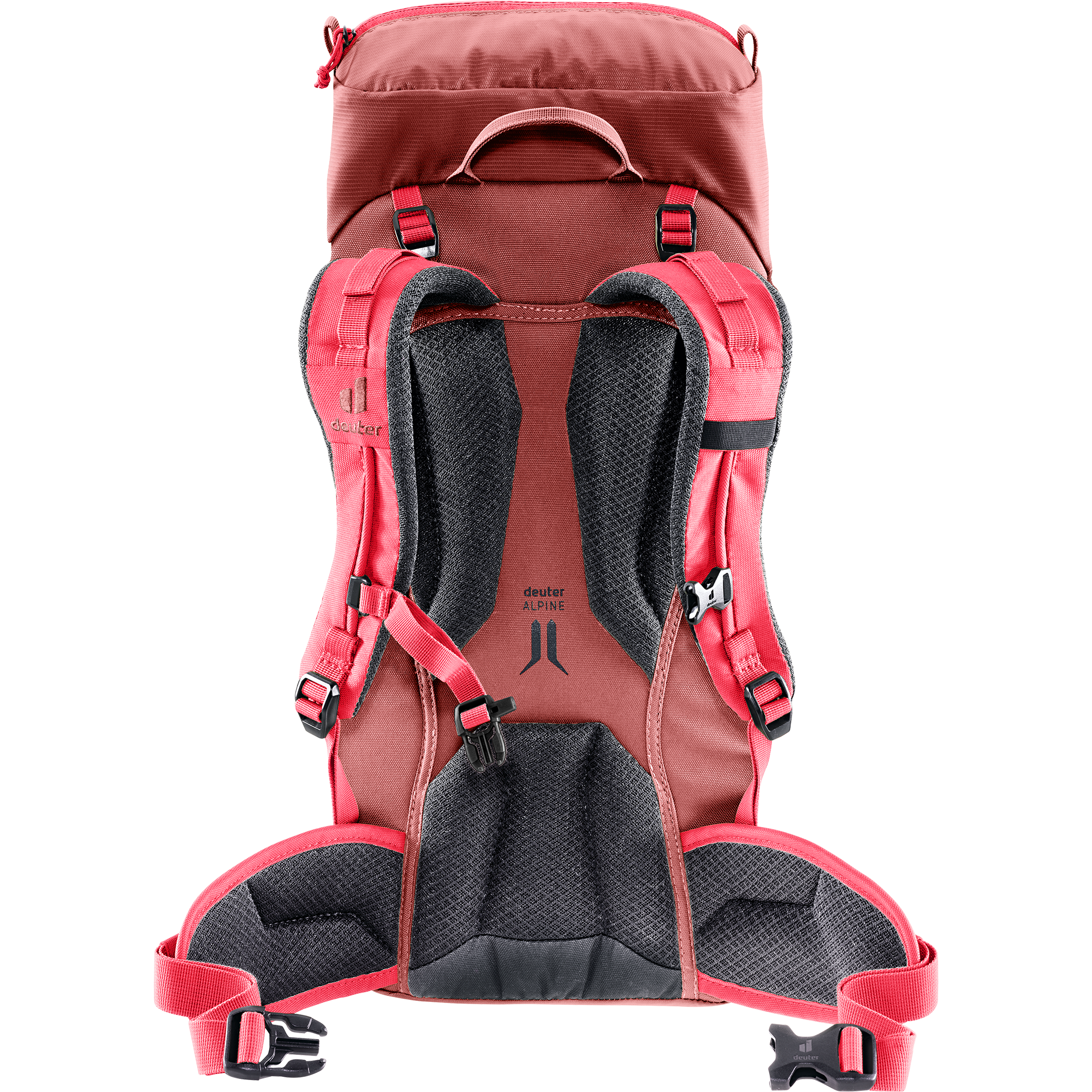 deuter Climber 22l Kinderrucksack redwood hibiscus