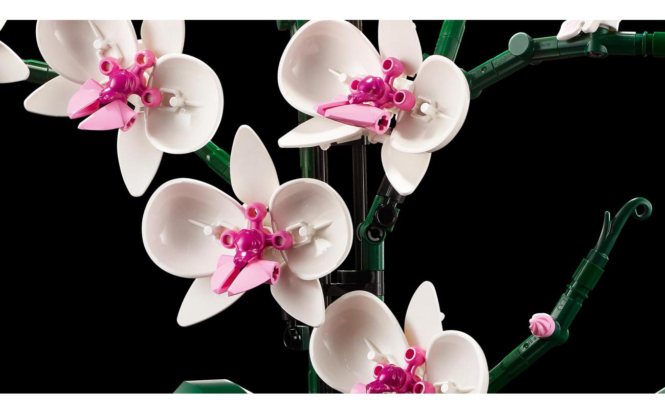 LEGO 10311 Botanicals Orchidee
