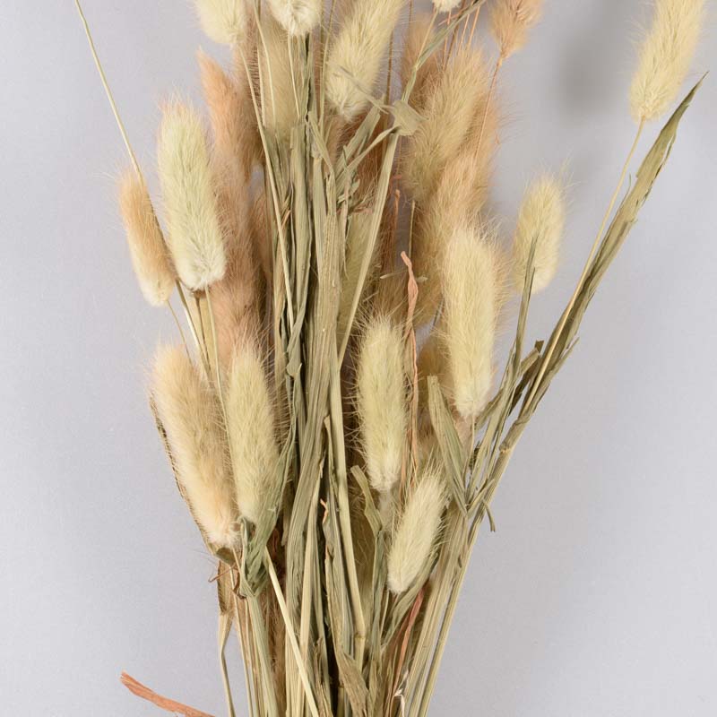 Bouquet de lagures
