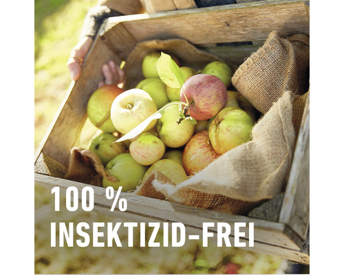 COMPO BIO Lokmiddel tegen fruitmotten, geschikt voor de COMPO Universele Trechterval, 3 stuks. Insecticidevrij.