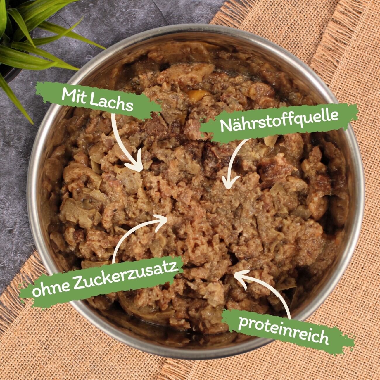 Lyra Pet Lecker.Pet Mia's Feine Paté Reich an Lachs Katzenfutter Nassfutter Vollnahrung 17x100 g