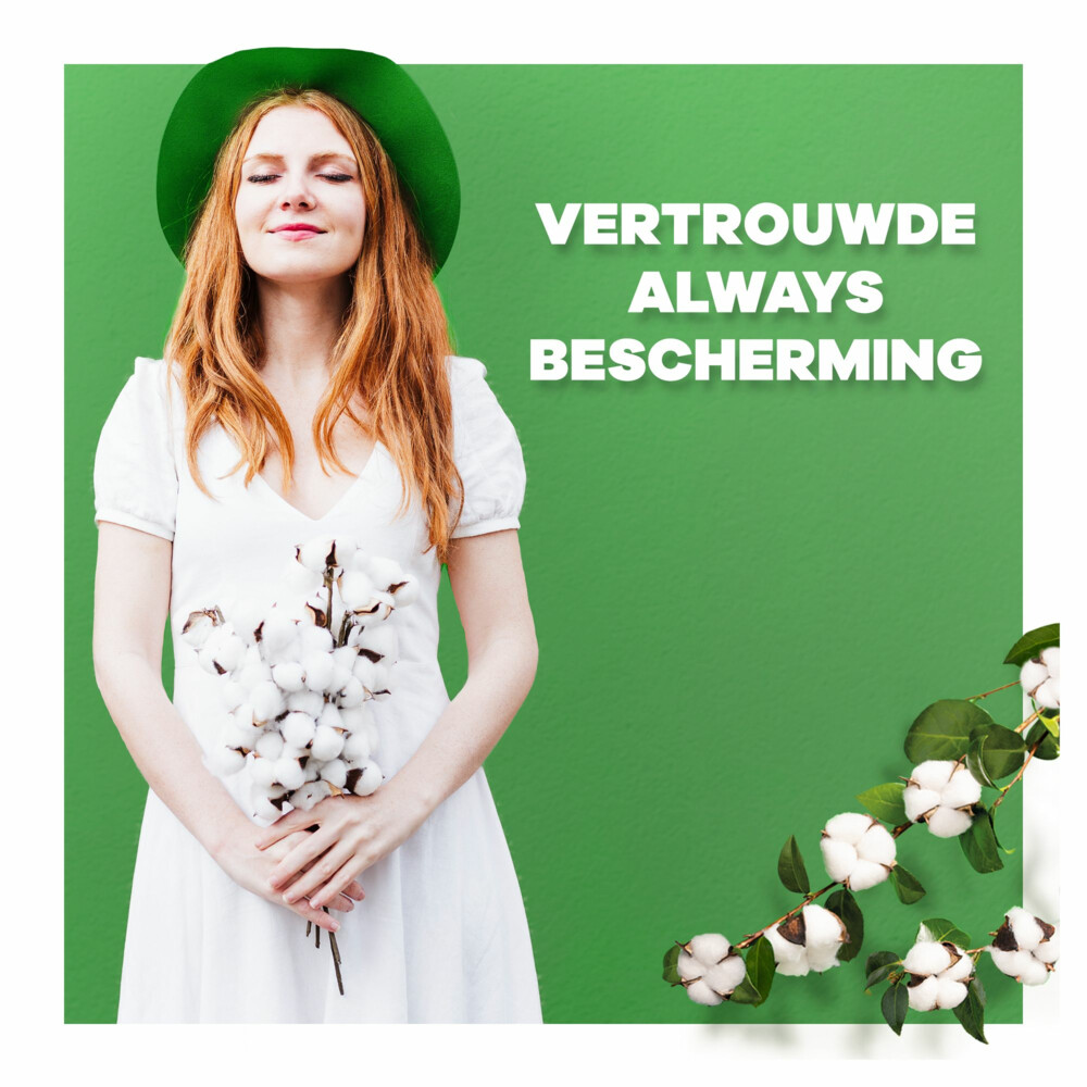 Always Maandverband Bio Cotton Night48 stuks