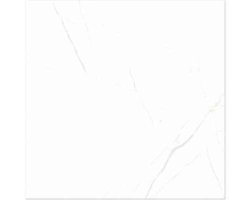 Steengoed wand- en vloertegel Davos wit 60 x 60 x 0,9 cm glanzend