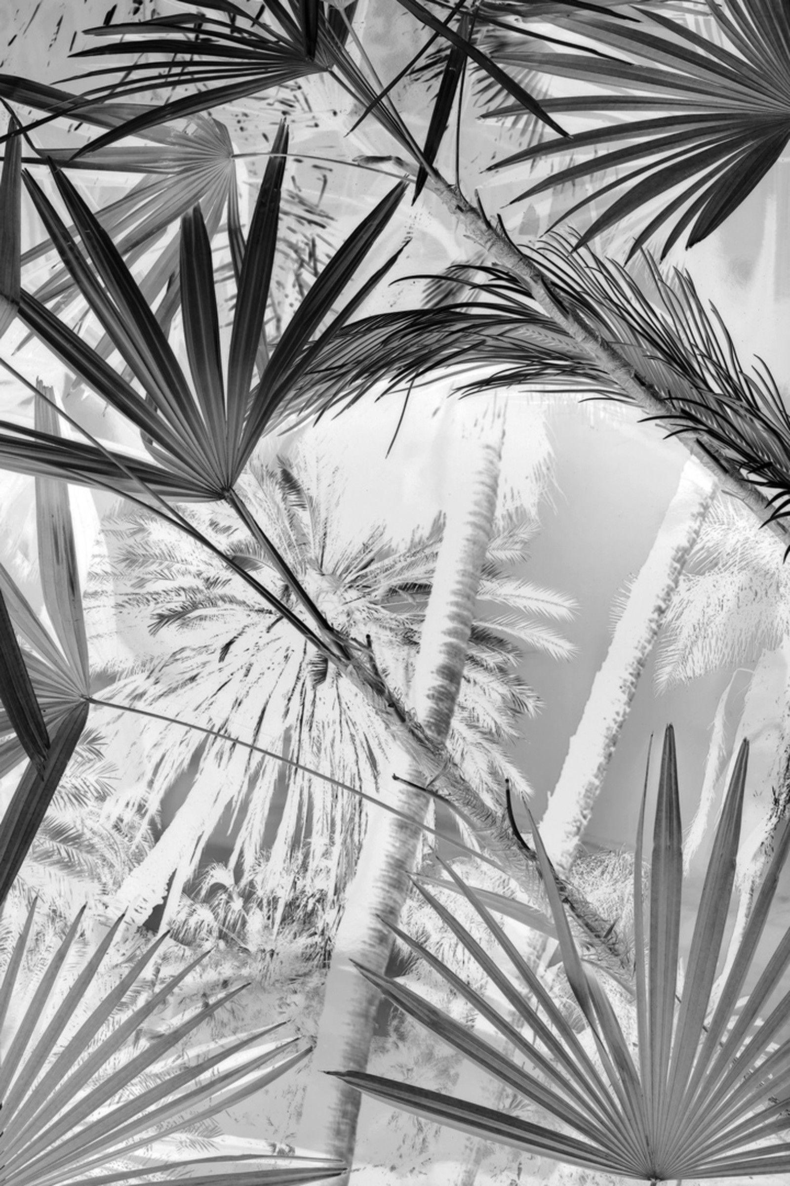 DSC1595.I.BW by Robert Bonk - Limited Edition. Edition of: 150. Signed.