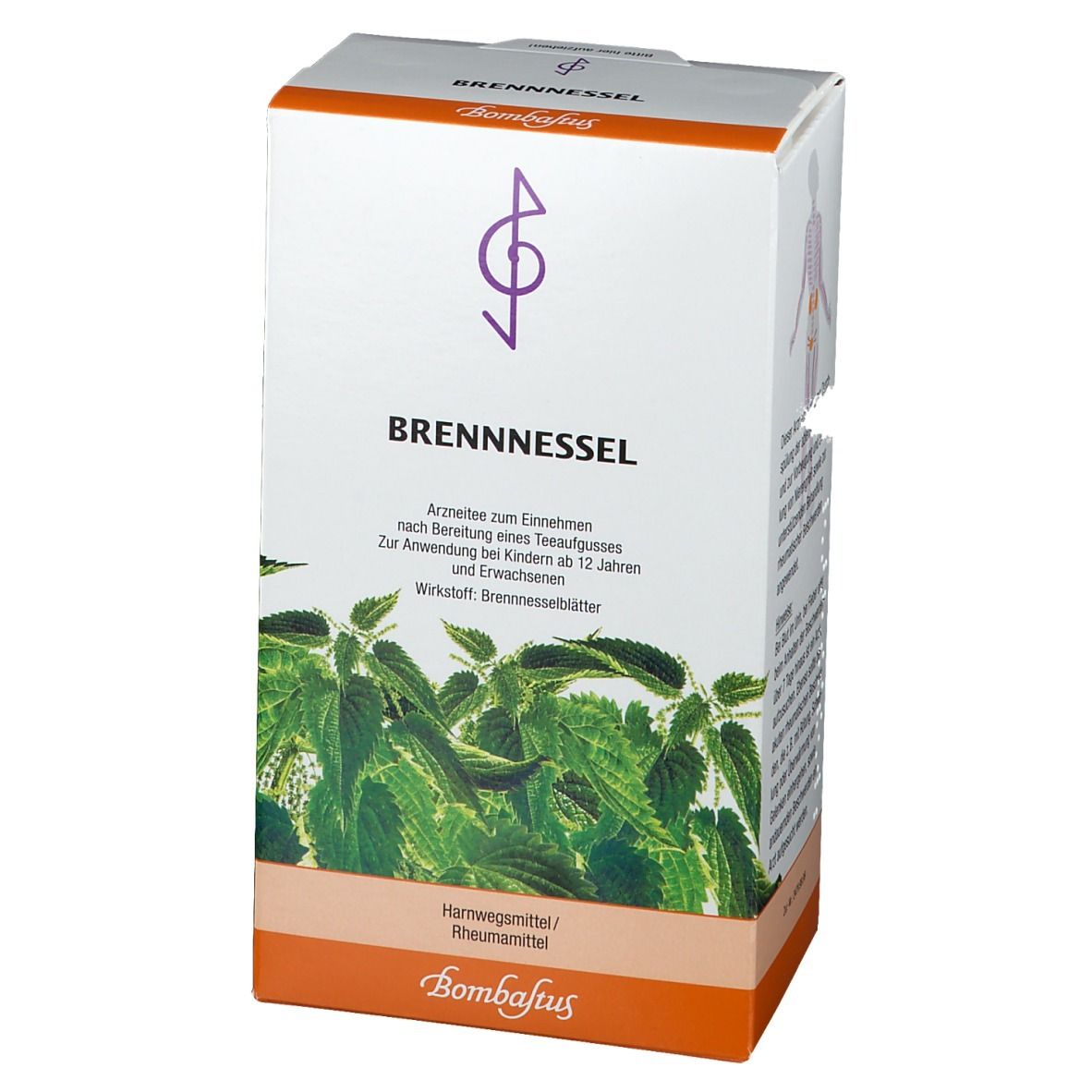Bombastus Brennessel