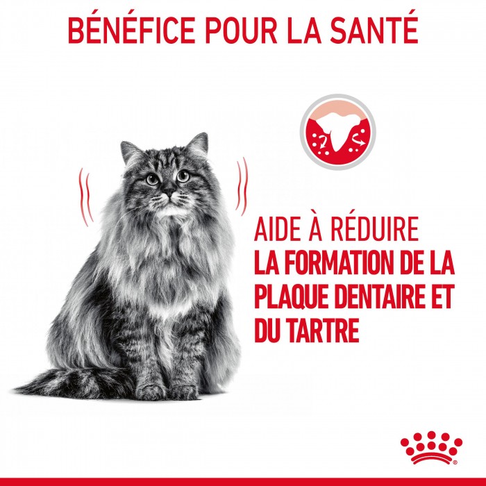 Royal Canin Oral Care