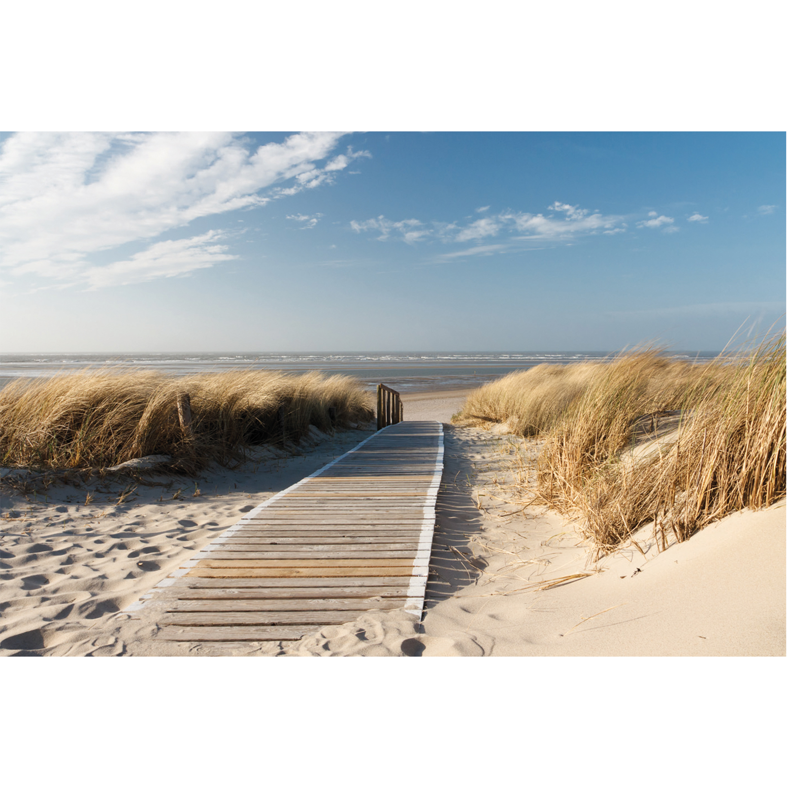 Keilrahmenbild STRAND - multicolor - 60x90 cm