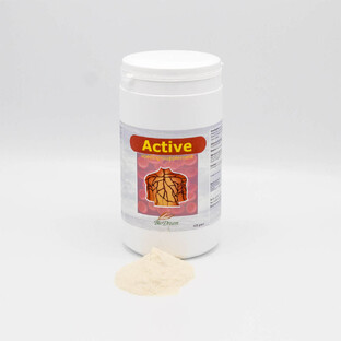 Biodream Active Poeder 800GR