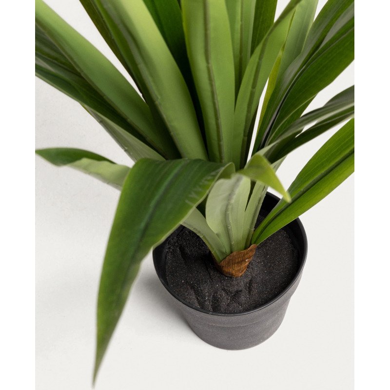 Yucca artificielle Zelena