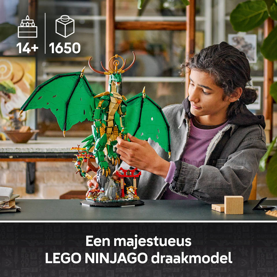 LEGO NINJAGO de drakenbewaker 71847