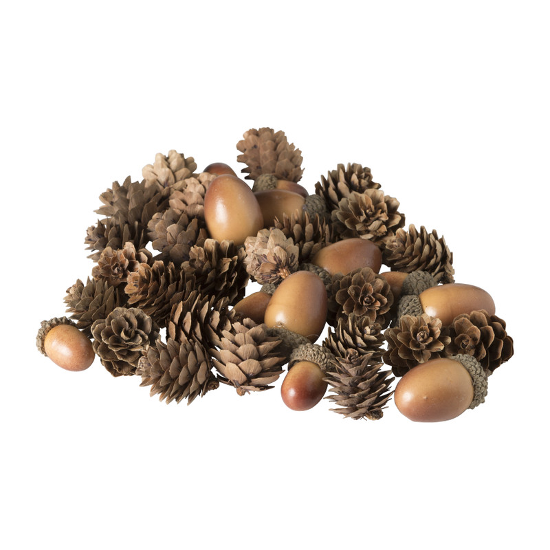 Dennenappel eikel - mix