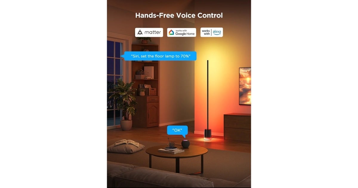 GoveeFloor Lamp 2  (Zwart, 2,4GHz wifi, Bluetooth)