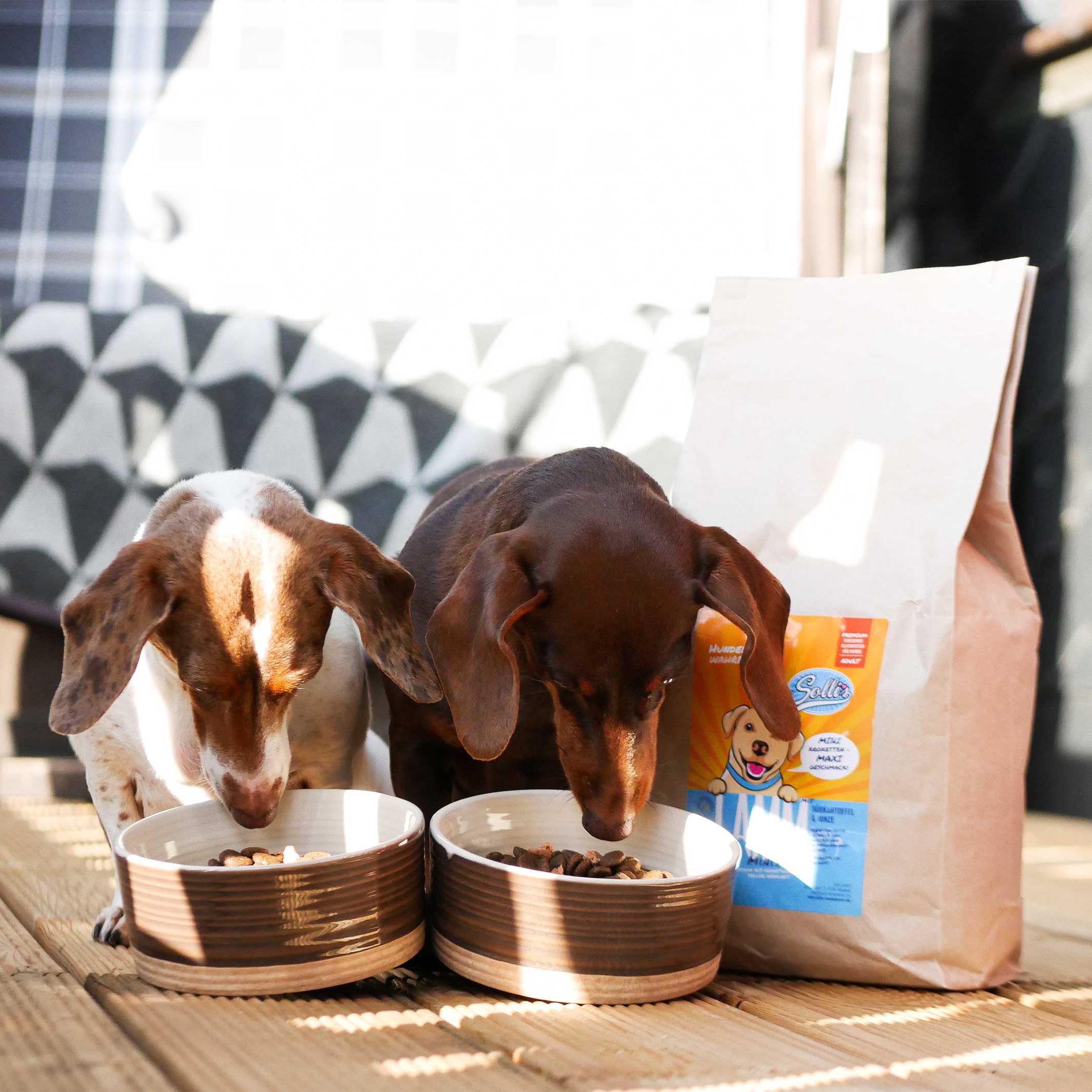 Sollis Trockenfutter für Hunde kleiner Rassen - Lamm Minis
