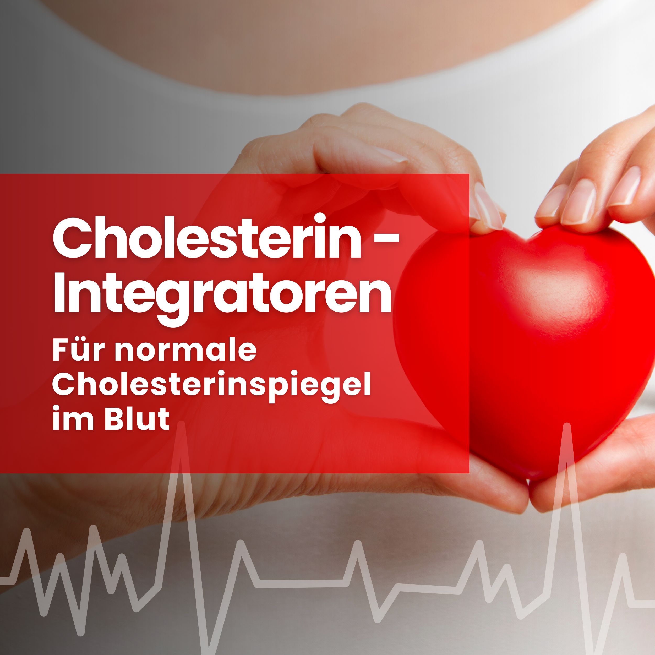 Vitastrong Cholesterin