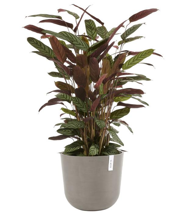 Ecopots Kunststoff-Topf Oslo, rund