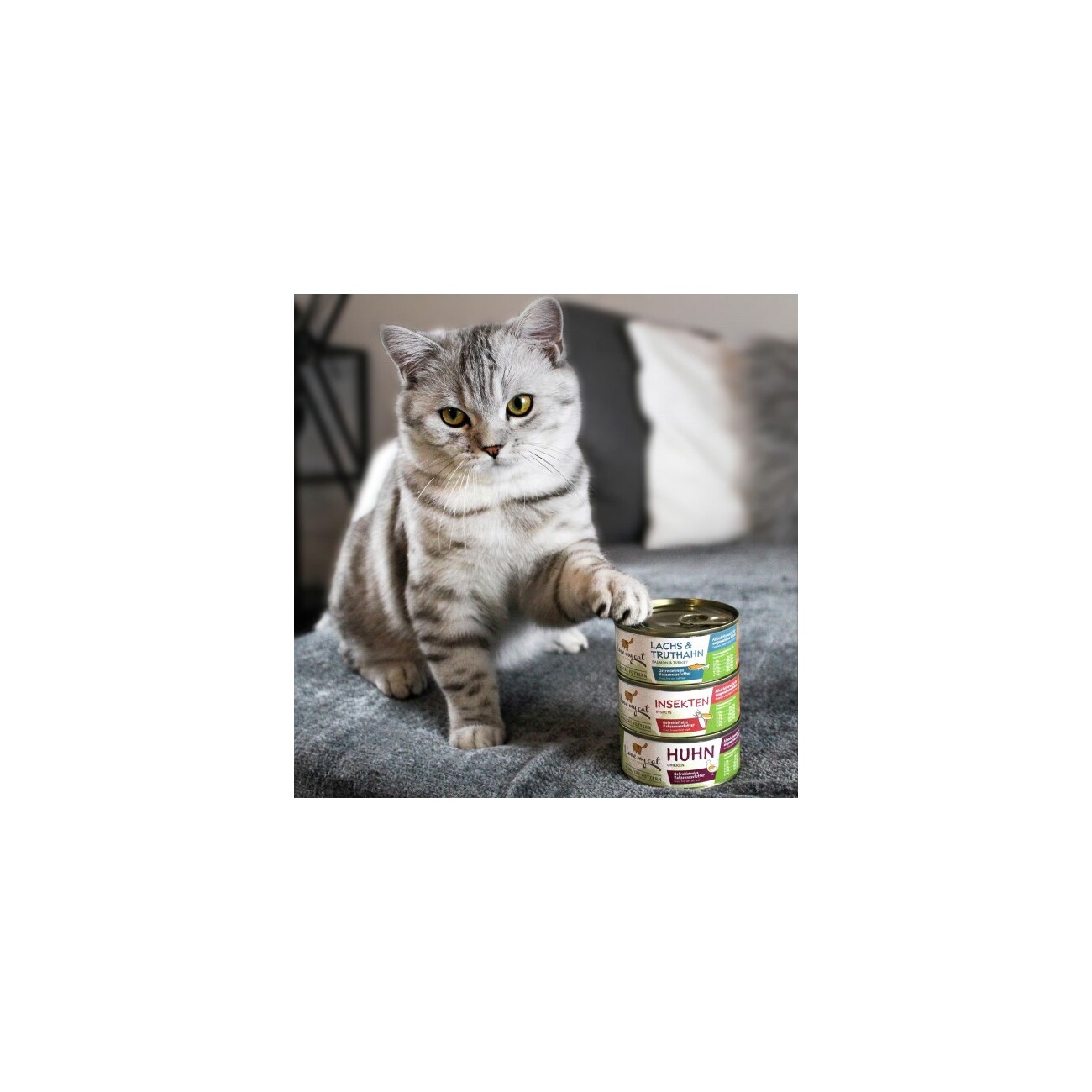 I love my cat Katzenfutter Nass mit Insekten - 100g