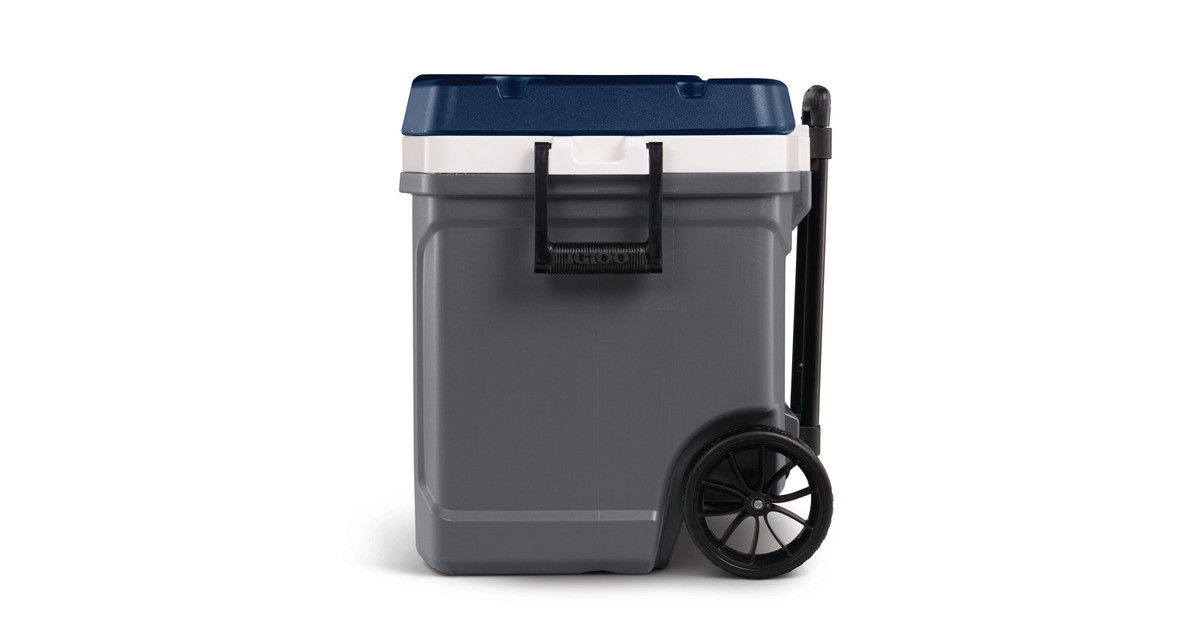 IglooMaxcold 62, 59 liter koelbox  (Grijs)