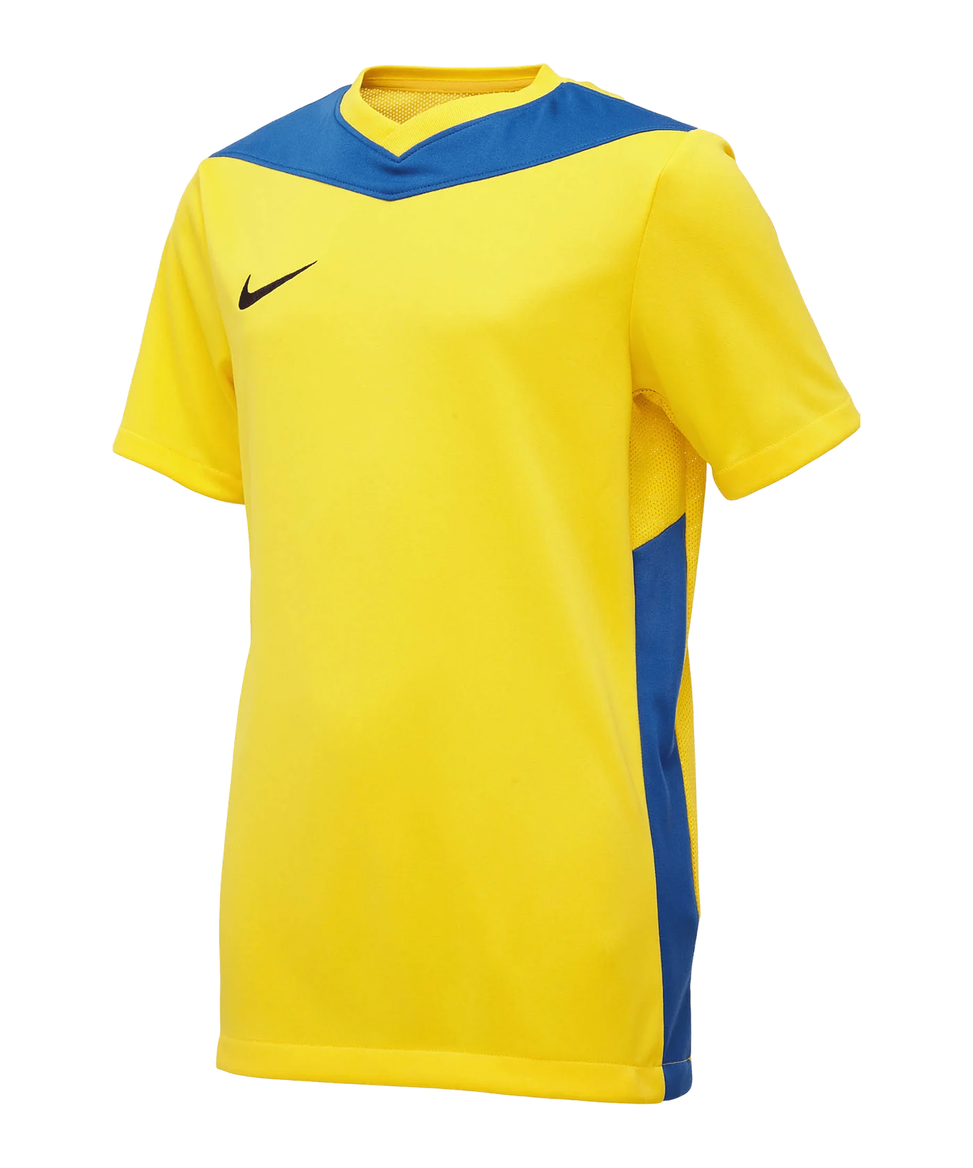 Nike Park Derby IV Trikot Kids Gelb Blau F720