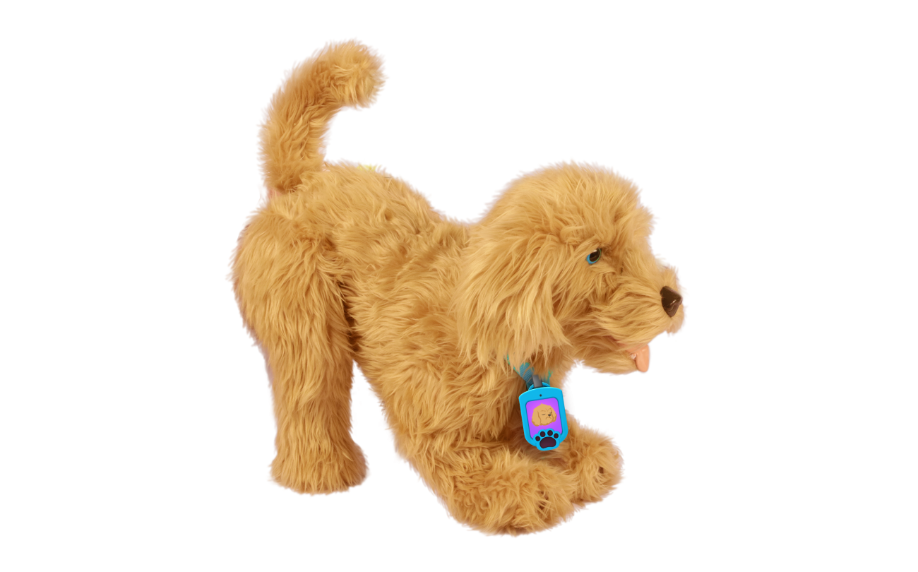 Moji mijn lieve labradoodle