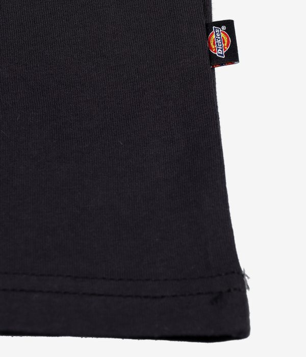 Dickies Mapleton T-Shirt (black)