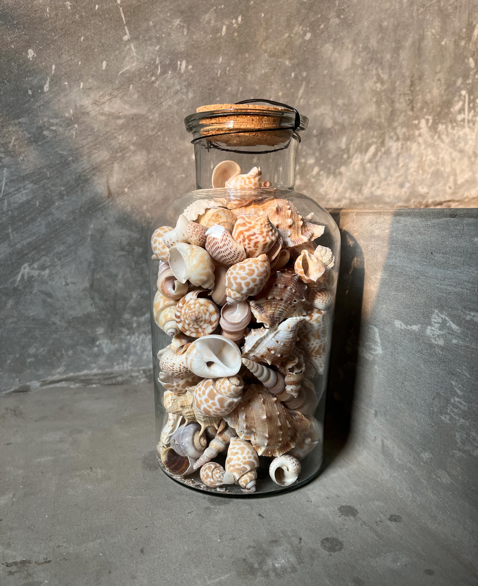 Muschelmix in Glasflasche, H 20 cm, Ø 10 cm von fischer's lagerhaus