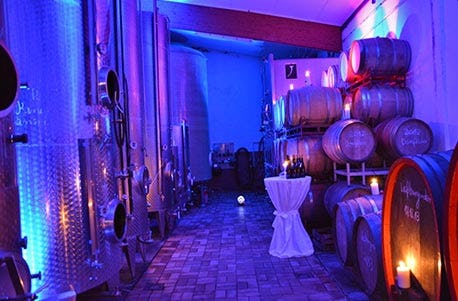 Ein Tag auf dem Weingut mit Übernachtung in der Pfalz für 2