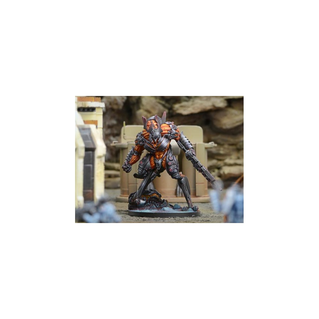 Infinity - Combined Army - Avatar