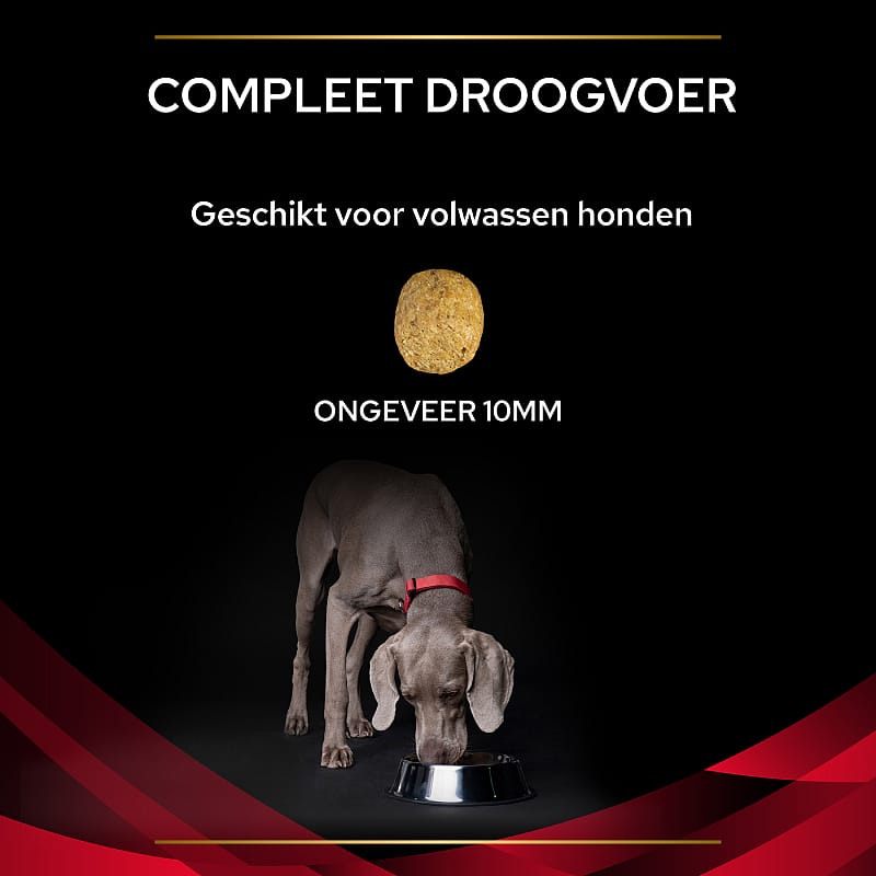 Purina Pro Plan Veterinary Diets Canine DM Diabetes Management Hondenvoer 3 kg | 10888