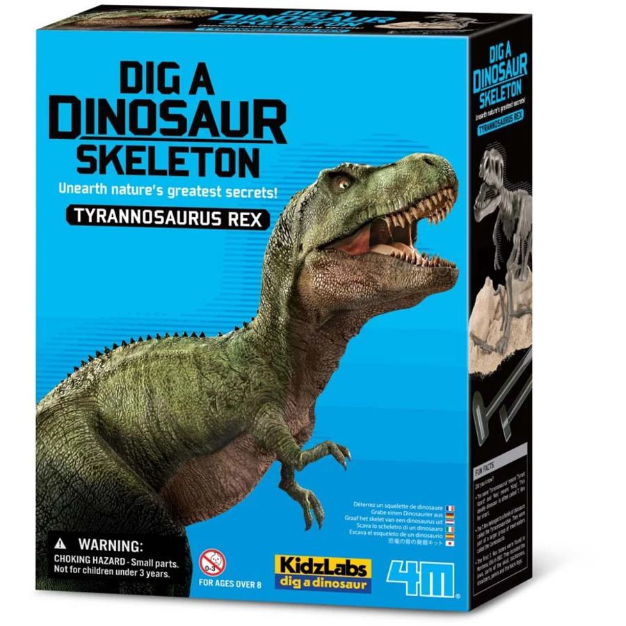 4M KidzLabs - Dinosaurier Ausgrabung T-Rex Mehrfarbig