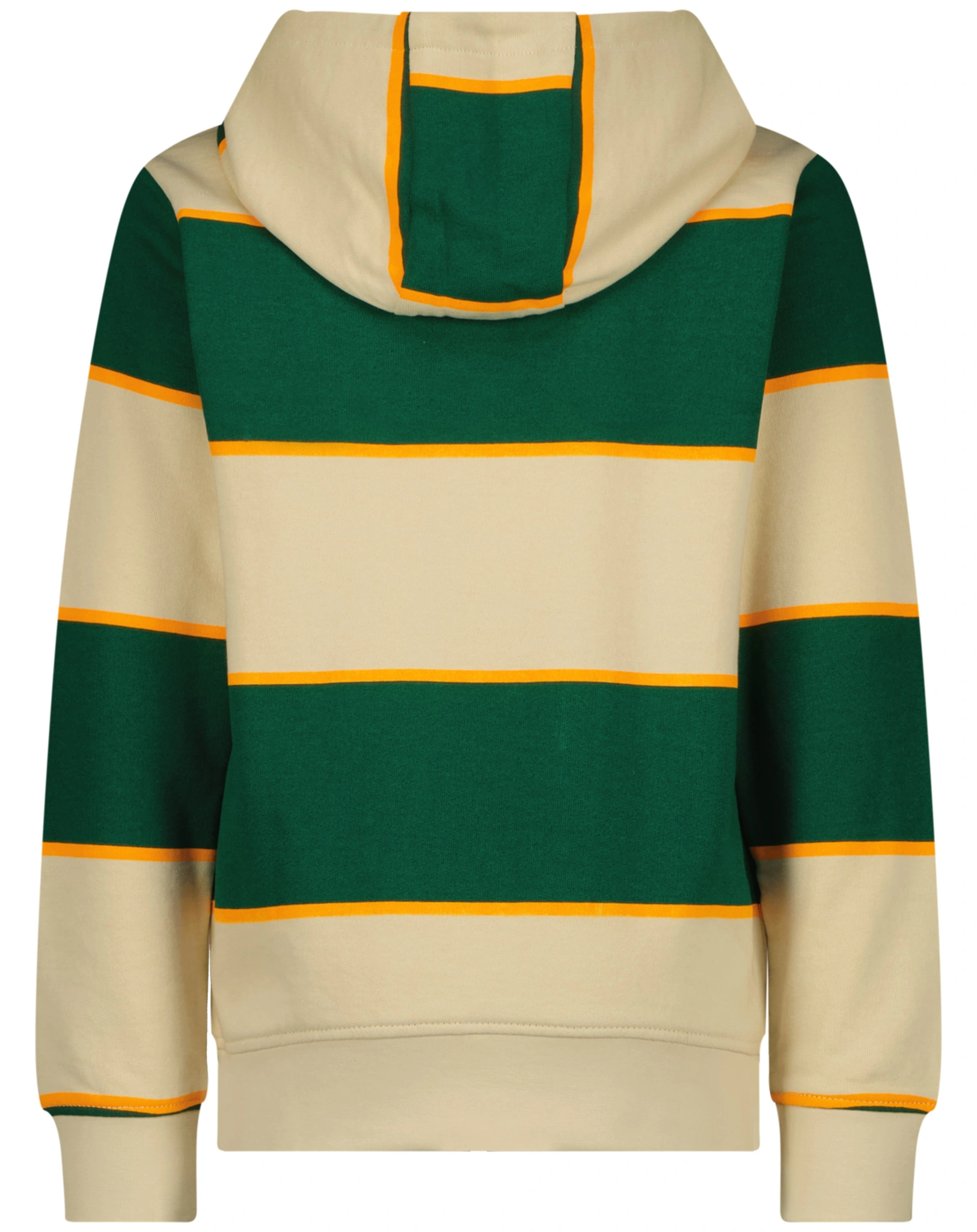 Kapuzen-Sweatshirt NEAL in bottle green